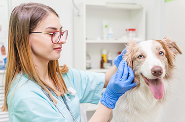 ear-cleaning