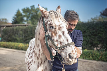 GettyImages-869695826