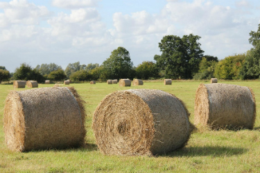 hay-bales