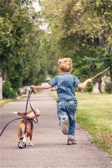 hsah-child-interacting-with-dog