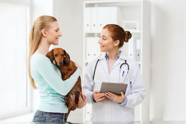 hsah-free-veterinary-advice