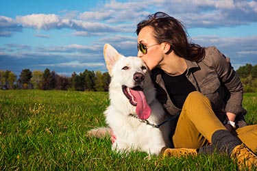 keeping-pets-healthy