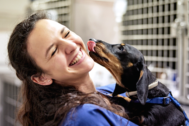 Client-Tips-for-Fighting-Doggie-Breath_GettyImages-1310040394